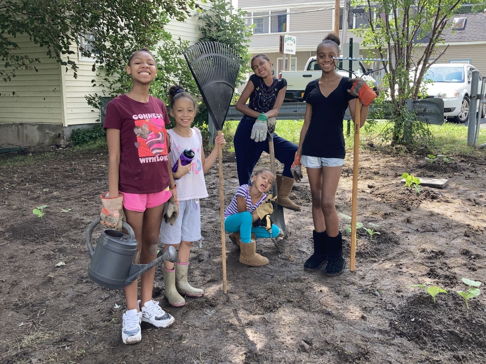 Pumpkin planting